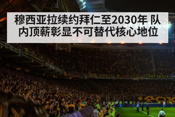 football stadium night atmosphere